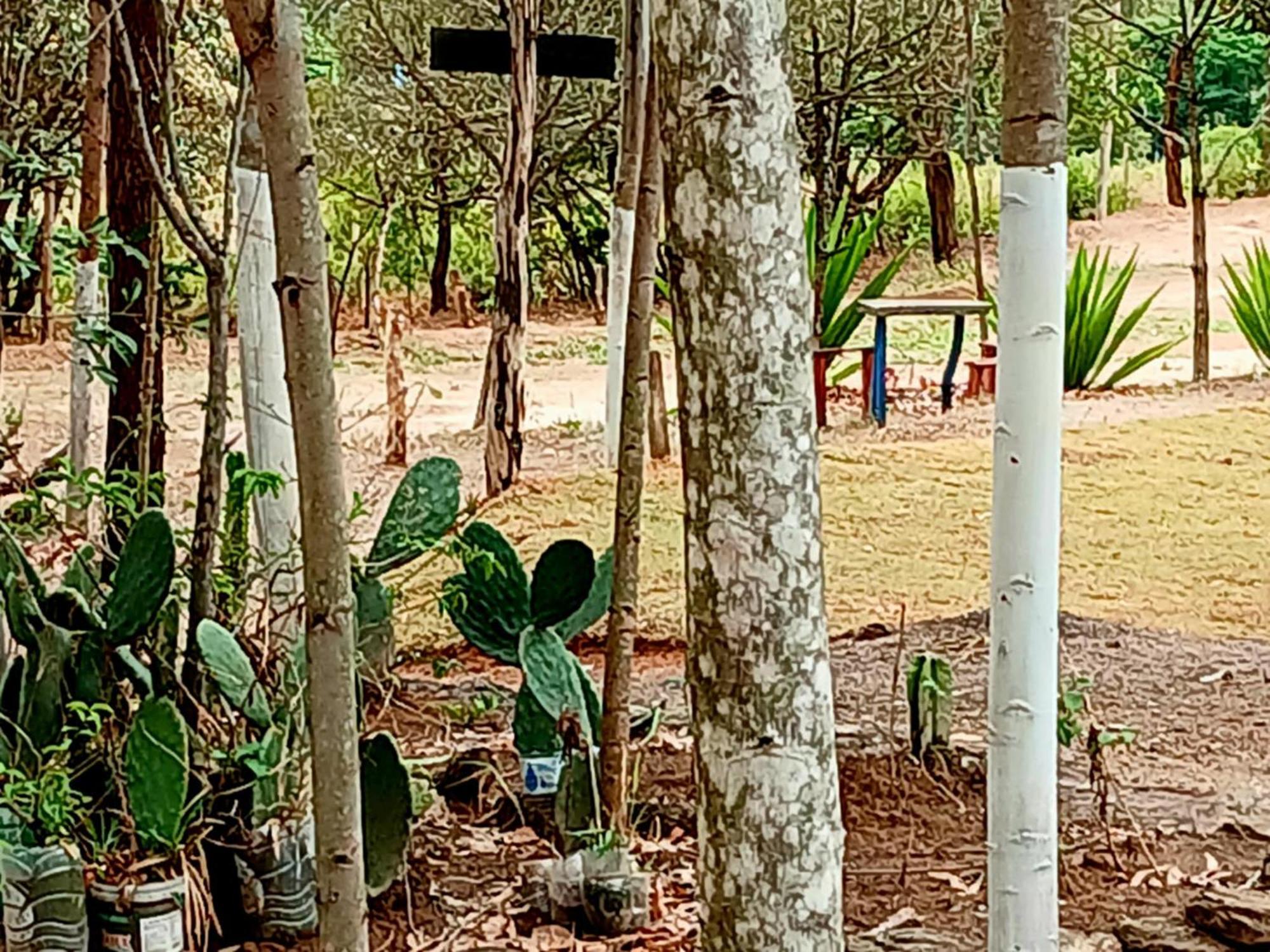 Camping Avohai São Tomé das Letras Eksteriør billede